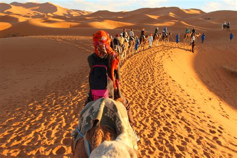 Sidi El-Hadi: Un viaje místico por el paisaje sonoro del desierto argelino